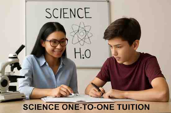 Personalized Online Science Tuition: Boost Your Grades in 2025
