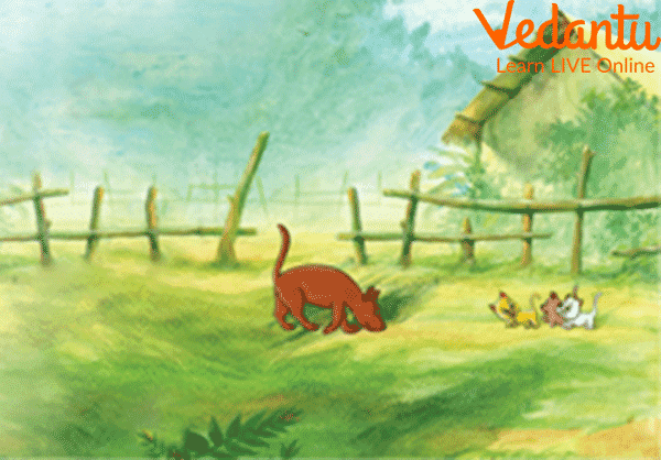 Three Little Kittens Story