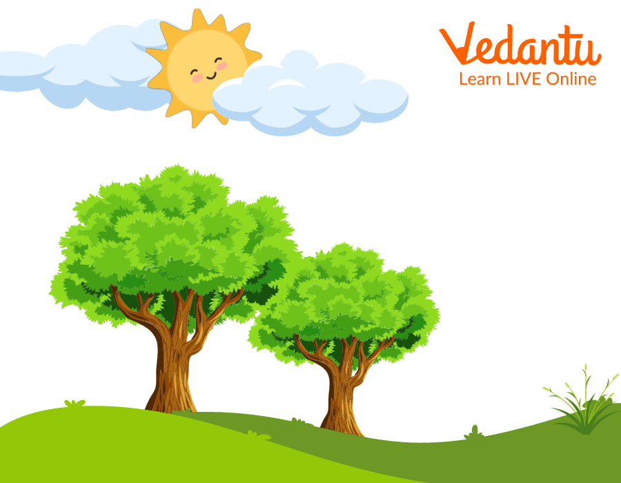 seo images