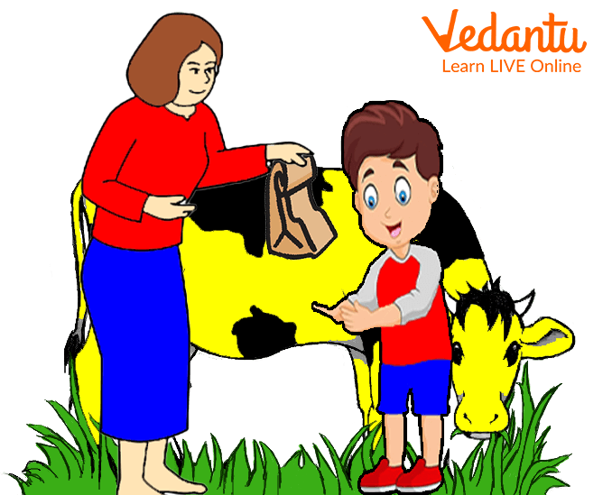 The Woman was very Kind and she offered Jack Bread and Milk