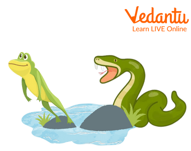 Frog and Snake Talking to Each Other