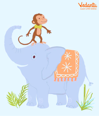 The Elephant Helped the Monkey Cross the River