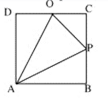 the interior of the square what is the probability that the point will be chosen from the interior of the triangle APQ