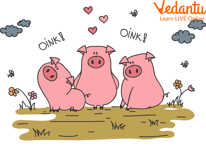 The three little pigs