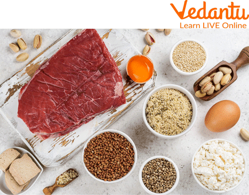 Sources of amino acids