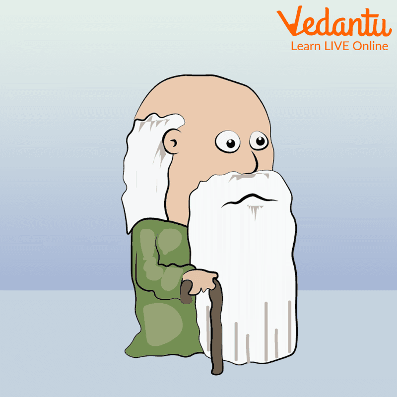 The old bearded man