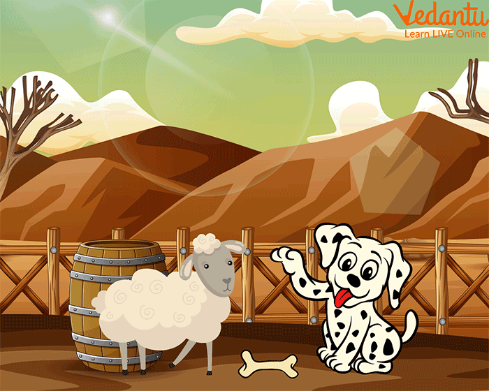 Sheep with dog Tony