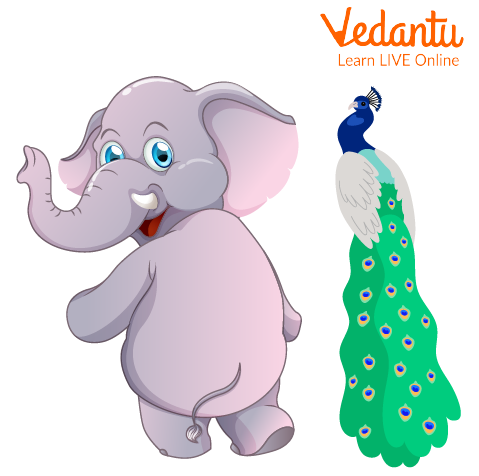 Noun with Birds and animals