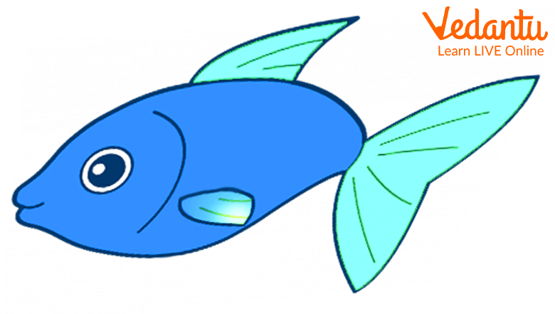 A small fish