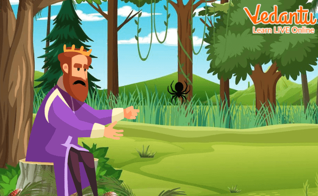 King Bruice And Spider