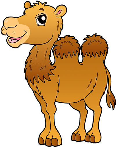 Camel