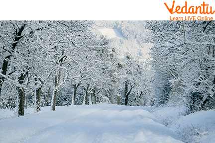 Winter Season
