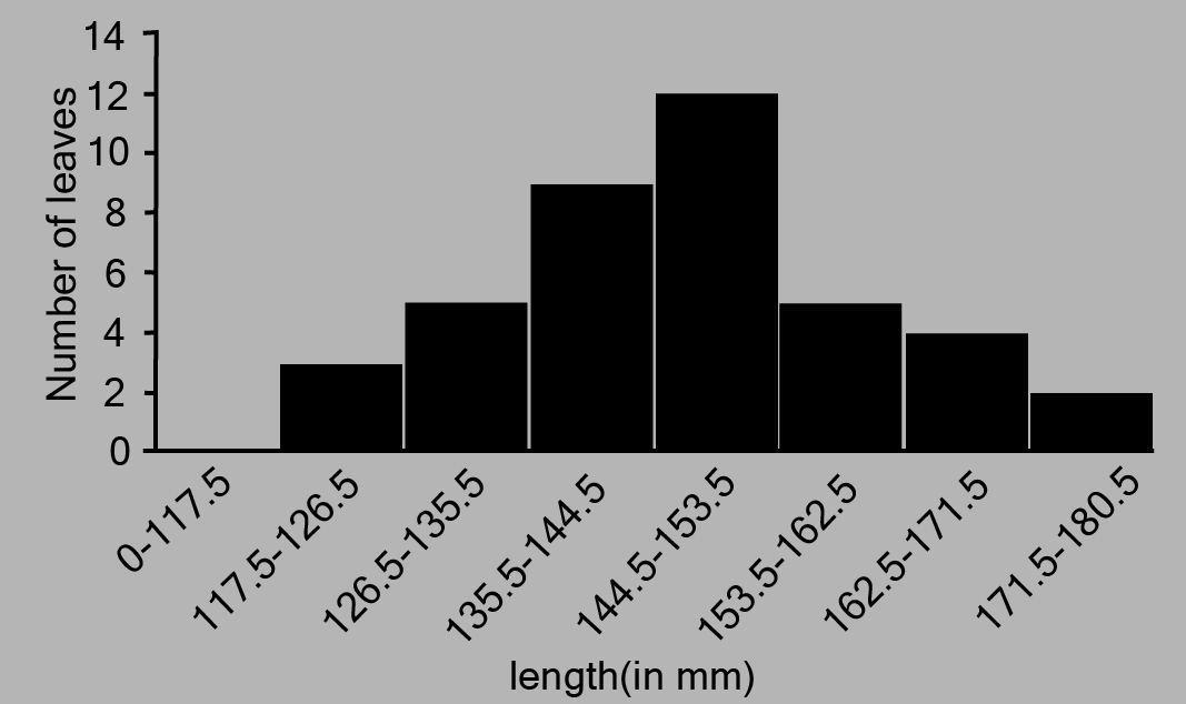 Histogram built using the length of leaves on the x-axis and the number of leaves on the y-axis
