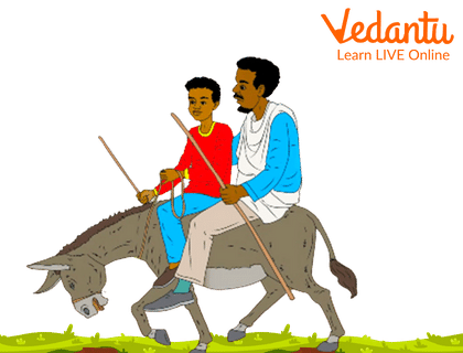 The Man and the Boy Sitting on the Donkey