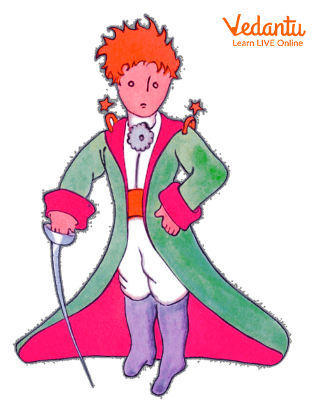 Image of little prince Ray