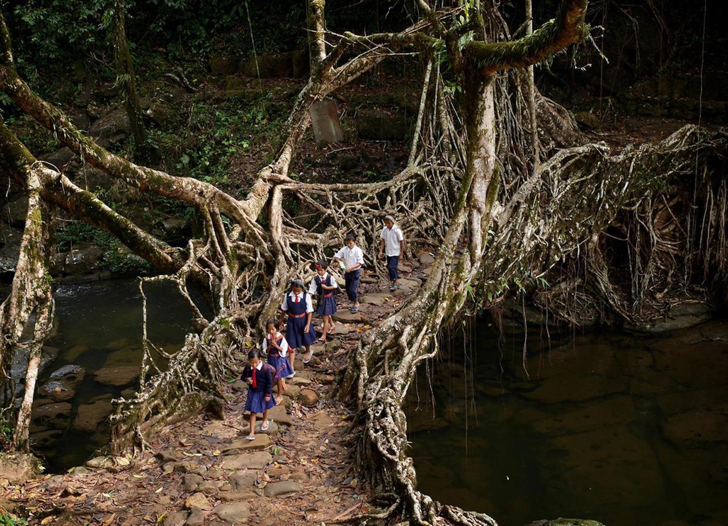 Cherrapunji, Meghalaya - The Wettest Place on Earth