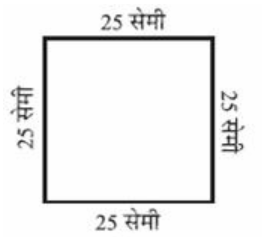 वर्ग जिसकी भुजा 25सेमी