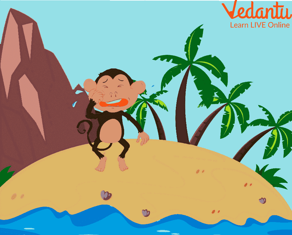 Monkey on the Island