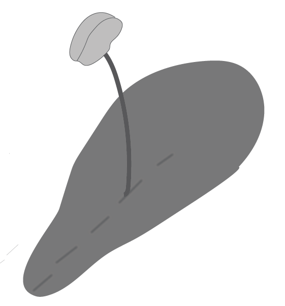 seo images