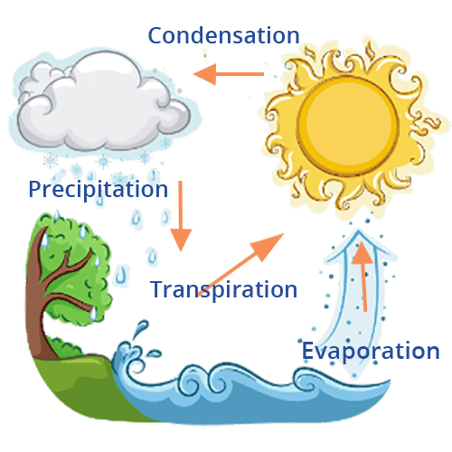 Water Cycle