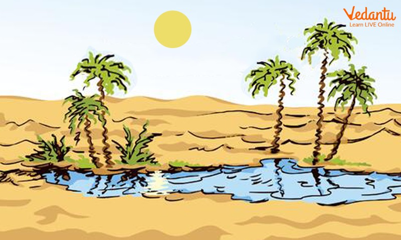 Mirage in a Desert