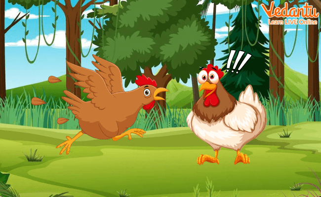 The Little Hen Met Pauline