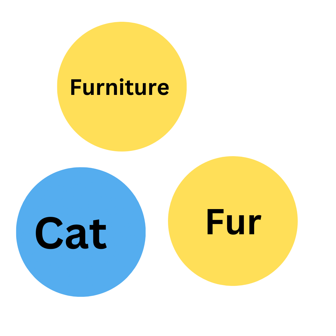 an image of circles showing some words like cat fur furniture