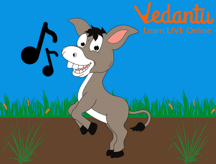 The Musical Donkey