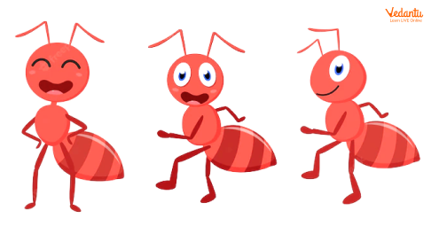 The Ants go Marching