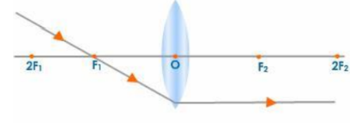 Convex Lens Image Formation