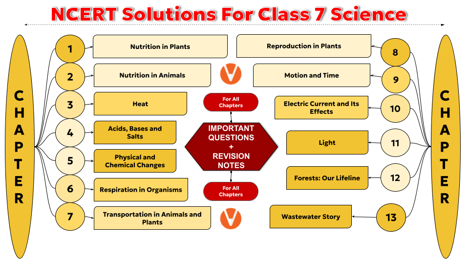 NCERT Solutions for Class 7 Science