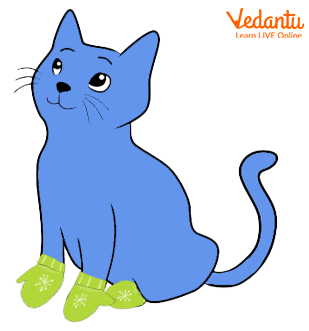 Mittens on Cats