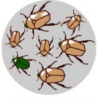 Variation in Trait 3