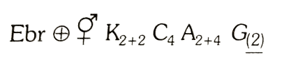 Floral formula of Brassica Campestris