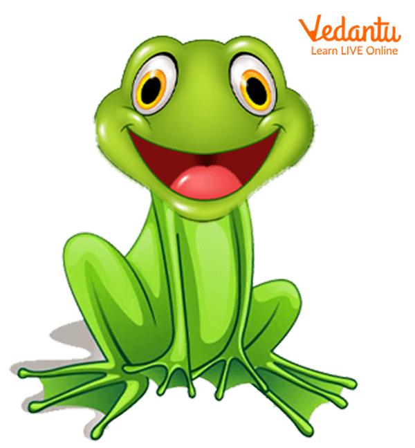 seo images