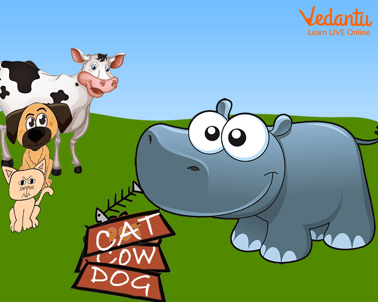 The hippo ate everyone’s food