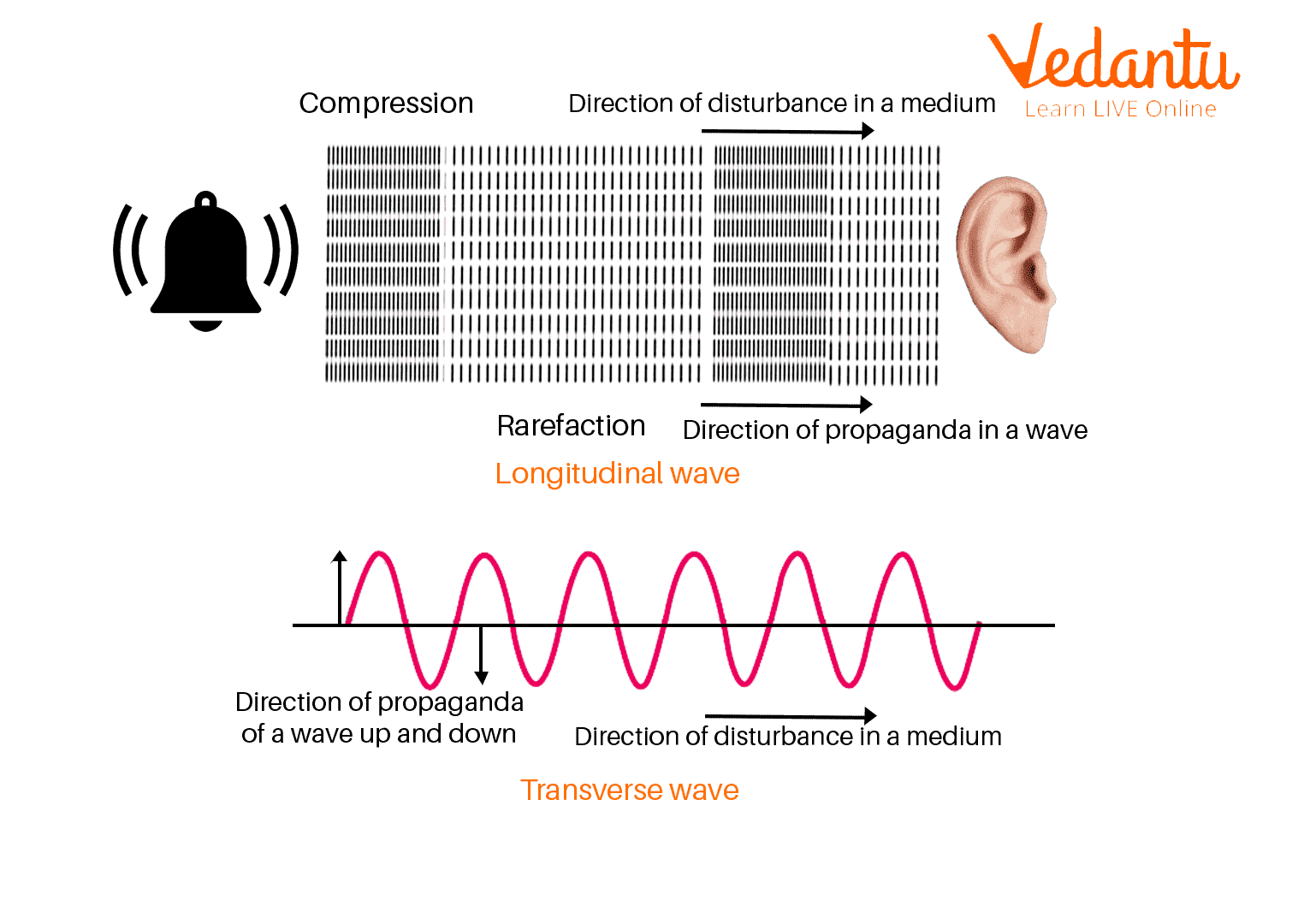 Propagation of Sound Waves