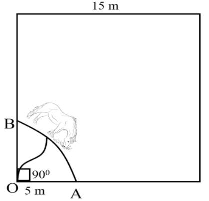 it is clear that the horse can graze a sector of