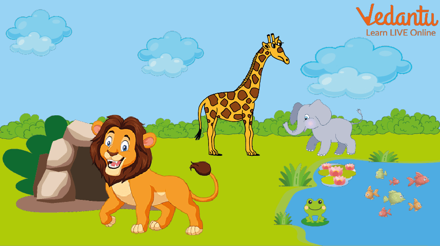 lion in jungle