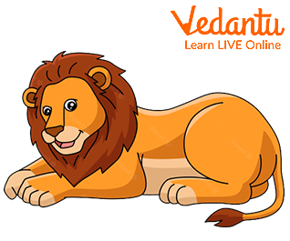 The Gentle Lion