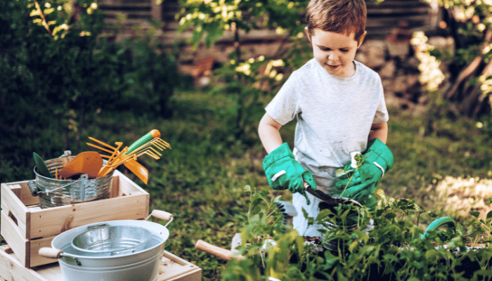 Gardening and Nature Exploration