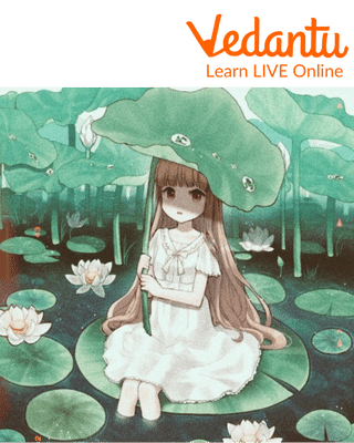 Lily Pad In Water