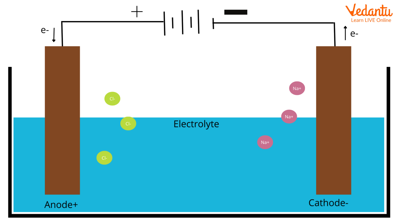 Electrochemical Cell