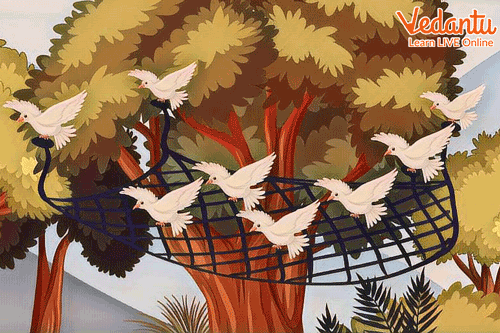 The Pigeons Flew with the Net That Trapped Them