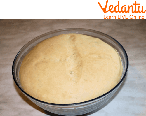 Yeast in Bread Dough
