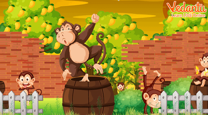 Noble Monkey