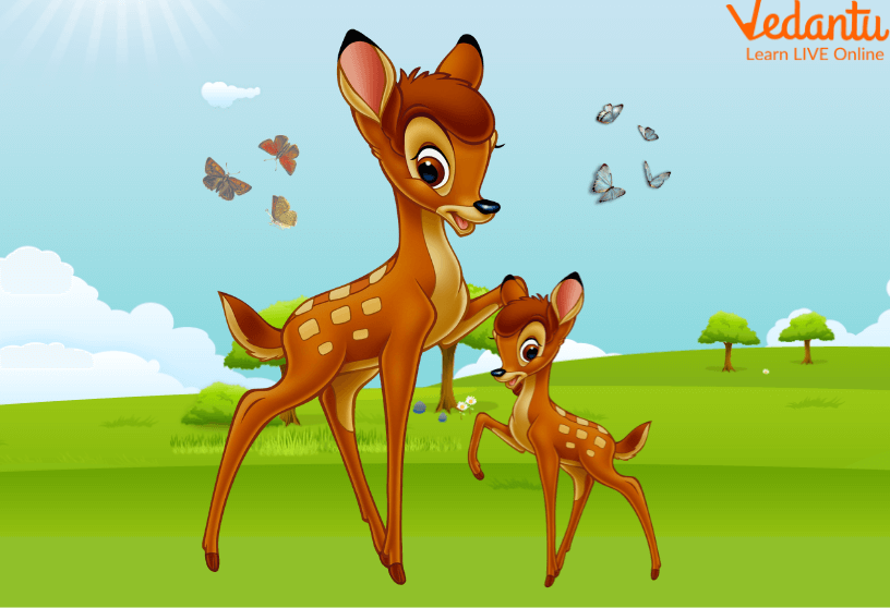 Mamma Deer and Doe Laughing Together