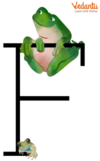 ‘F’ for Frog