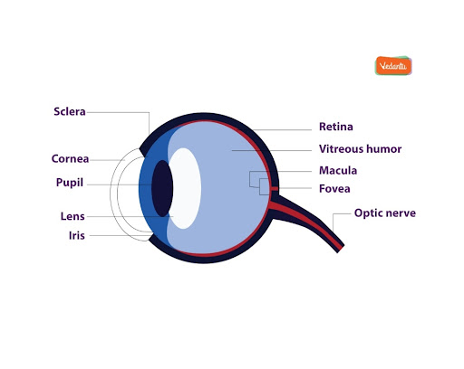 seo images