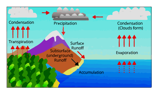 Water Cycle